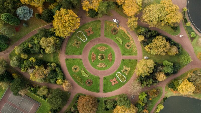 Insectes et Économie Circulaire : Une synergie naturelle pour la gestion des biodéchets