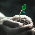 Photo d'un fertilisant permettant la pousse d'une plante